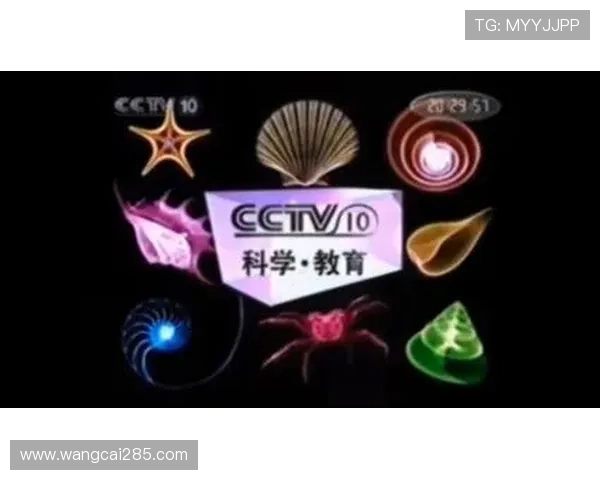 北京卫视科教频道高清直播在线观看指南